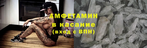 прущие грибы Пролетарск