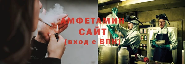 прущие грибы Пролетарск