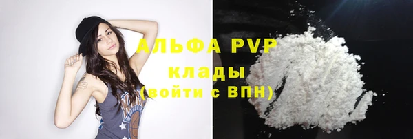 прущие грибы Пролетарск