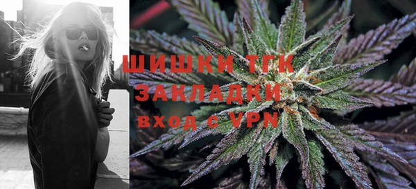тгк Протвино