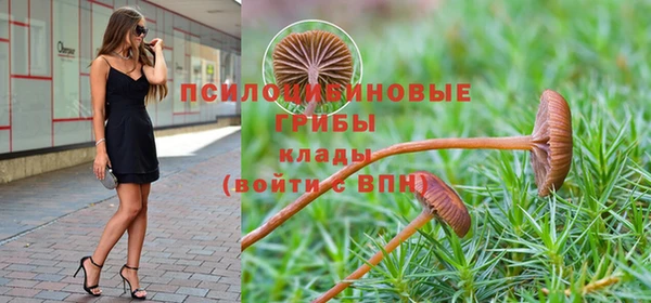 прущие грибы Пролетарск