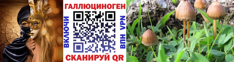 Псилоцибиновые грибы GOLDEN TEACHER  Бугуруслан 