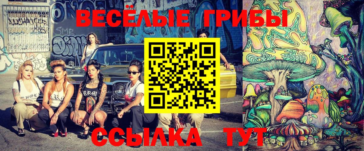 Псилоцибиновые грибы Psilocybine cubensis  Вход с VPN  Бугуруслан 