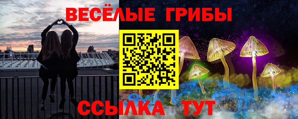 Галлюциногенные грибы Cubensis Бугуруслан