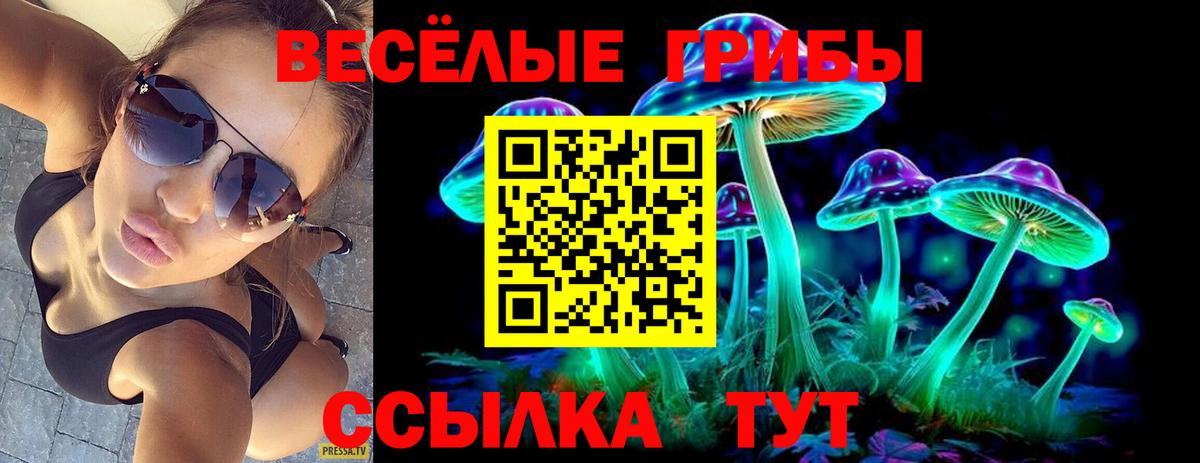 Псилоцибиновые грибы мицелий  Вход с VPN  Бугуруслан 