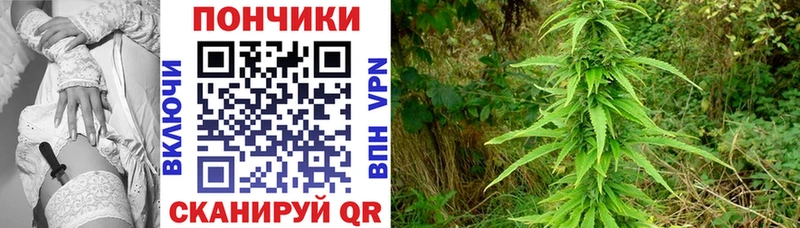 МАРИХУАНА тримм Бугуруслан