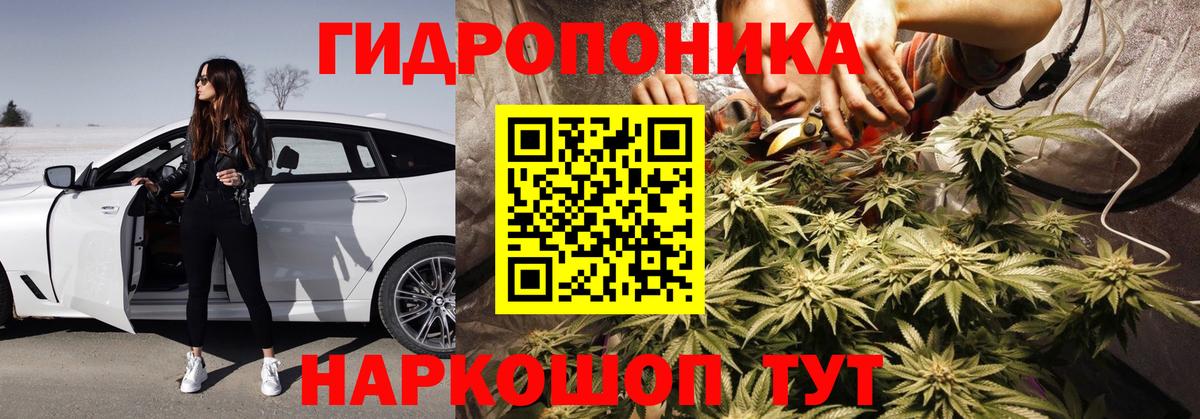 Конопля Amnesia Бугуруслан